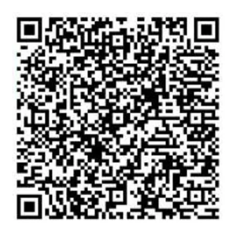 QRIS Barcode Lui Visual